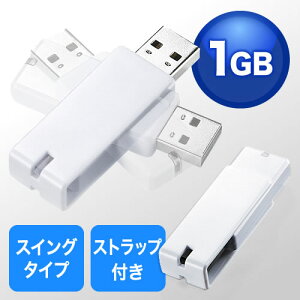 USB 1GB h~ Xgbvt LbvX zCg ylR|XΉz EZ6-US1GW