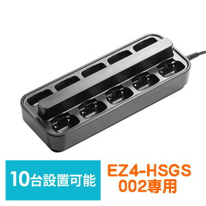 CJVXe EZ4-HSGS002p[dXe[V cA[KCh[dN[h 10p EZ4-HSGS-CL2