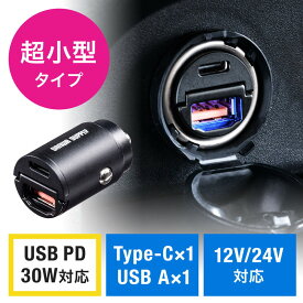 【最大3500円OFFクーポン配布中】カーチャージャー 車載充電器 Type-C Type-A USB PD30W対応 5V/2.4A 急速充電 シガーソケット 12V/24V対応 コンパクト EZ2-CAR088【ネコポス対応】