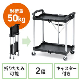 ツールワゴン 2段 折りたたみ ファイルワゴン キャスター付 総耐荷重50kg 4輪 軽量 整理 収納 おすすめ おしゃれ EZ1-CART013