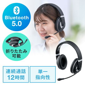 【4/25限定！抽選で100%P還元+10％OFFクーポン】Bluetoothヘッドセット 両耳タイプ オーバーヘッド 単一指向性マイク 折り畳み式 EZ4-BTSH021BK