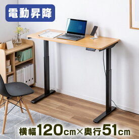 【最大3000円OFFクーポン配布中】昇降デスク 電動 スタンディングデスク 幅120cm 奥行51cm 薄い木目 高さメモリー付き 座りすぎ防止 EZ1-ERD025LM