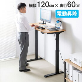 【最大3000円OFFクーポン配布中】昇降デスク 電動 スタンディングデスク 幅120cm 奥行き60cm 薄い木目 高さメモリー付き 座りすぎ防止 EZ1-ERD034LM