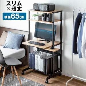 p\RbN p\RfXN 65cm X^Cv ؖڒ ω׏d100kg [I LX^[ }EXe[ut EZ1-RAC012