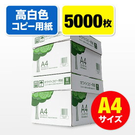 コピー用紙 A4サイズ 500枚×10冊 5000枚 高白色 EZ3-CP1A4-2