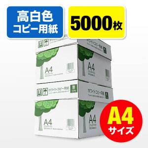 Rs[p A4TCY 500×10 5000 F EZ3-CP1A4-2