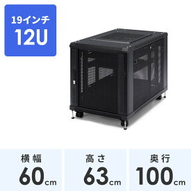 【4/20限定！抽選で100%P還元+全品P5倍】サーバーラック 小型 12U 19インチラック オールインタイプ 機器収納ボックス EEZ-SV001