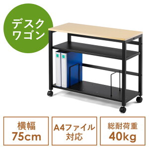 fXNS 75cm fXN[ TChe[u ubNGh ؐ CguE EZ1-WG019