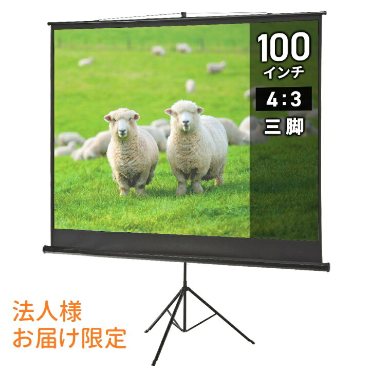 楽天市場】【法人会員様限定商品】プロジェクタースクリーン 100インチ  