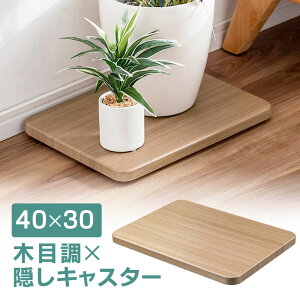 yI[^SALE艿izyyV1ʎ܁z LX^[t 40cm@s30cm z[L[ ƒp RpNg ^ ؖ ω׏d30kg  C@ CeA   z