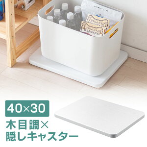 yyV1ʎ܁z LX^[t 40cm@s30cm z[L[ ƒp RpNg ^ ؖ ω׏d30kg  C@ CeA   zCg uE EEX-CT11