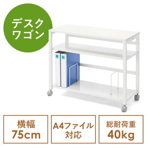 fXNS TChe[u 75cm fXN[ t@CS ubNGh ؐ zCg EZ1-WG019W