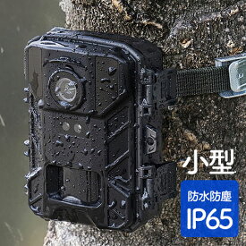 トレイルカメラ 防犯カメラ 屋外対応 4K 動物撮影 鳥獣対策 IP65防水 5000万画素保存 夜間撮影対応 2つの赤外線センサー搭載 EZ4-CAM107