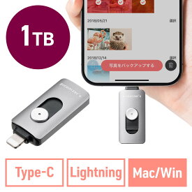 Lightning Type-C USBメモリ 1TB ピコナイザー Piconizer4 グレー iPhone Android 対応 Mfi認証 バックアップ iPad USB 10Gbps EZ6-IPLUC1TGY