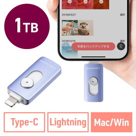 【最大2000円OFFクーポン配布中】Lightning Type-C USBメモリ 1TB ピコナイザー Piconizer4 バイオレット iPhone Android 対応 Mfi認証 バックアップ iPad USB 10Gbps EZ6-IPLUC1TV