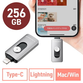 【5/30限定！全品ポイント10倍】Lightning Type-C USBメモリ 256GB ピコナイザー Piconizer4 グレー iPhone Android 対応 Mfi認証 バックアップ iPad USB 10Gbps EZ6-IPLUC256GGY