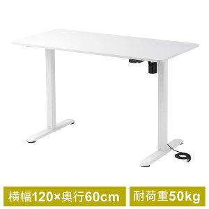 ~fXN d  120cm p\RfXN X^fBO Ƒ s60cm 73cm`118cm j^[A[Ή zCg EZ1-ERD043W