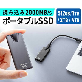 ポータブルSSD 読出最大2000MB/s 超小型 USB Type-C接続 USB20Gbps USB3.2 Gen2×2 ケーブル型 シルバー EZ6-USSH
