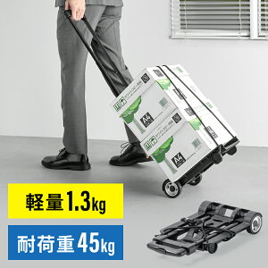 yI[^SALE艿izL[J[g ܂肽 y RpNg  ω׏d45kg tbNtoh AEghA  h ו^ EEX-CT14BK