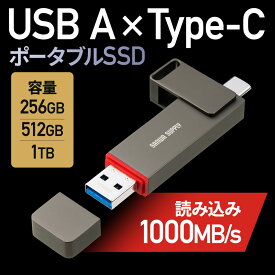 外付けSSD PS5 テレビ録画 USB Type-C コンパクト ポータブル スティック 超小型 アルミ筐体 ガンメタリック EZ6-USSC