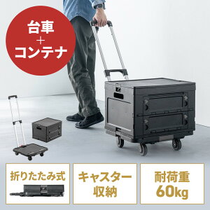 ܂肽ݑ pReit L[J[g e47L ω׏d60kg RpNg ܂肽݃Rei  W[ pxiK ubN EZ1-CART029SETBK