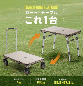 L[J[g  AEghA e[u ω׏d100kg ܂肽 2WAY @\  4 nht x[W EZ1-TRL002BG