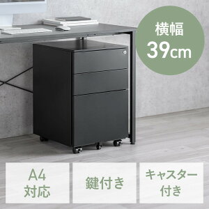 fXNS Lrlbg 3i 39cm s45cm 60cm t ꊇbN X`[ EZ1-SNW028