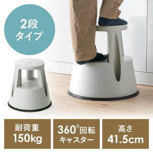 XebvXc[ ݑ LX^[t Xgbp[@\t 41.5cm 2i^Cv X^bLO\ ω׏d150kg ϋv EZ15-SNCSTL69