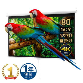 プロジェクタースクリーン 80インチ ワイド 吊り下げ 壁掛け 4K 高画質 手動 フィルム ロール式 巻き取り ホームシアター おすすめ EEX-PST4-80HDK