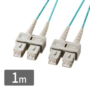 yő2000~OFFN[|zzzKl^t@CoP[u }`50mOM3ASC×2-SC×2A1m HKB-OM3SCSC-01N TTvCylR|XΉz
