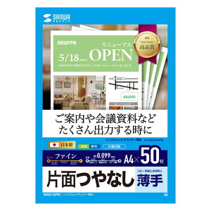 yő2000~OFFN[|zzzy󂠂 VizCNWFbgt@Cp Ȃ}bg  A4 50 JP-EM2NA4N2 TTvC ɃLYAꂠylR|XΉz