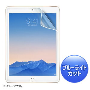 �y�ő�2000�~OFF�N�[�|���z�z���ziPad Air 2�p�u���[���C�g�J�b�g�t���ی�w�䔽�˖h�~�t�B���� LCD-IPAD6BCAR �T�����T�v���C�y�l�R�|�X�Ή��z