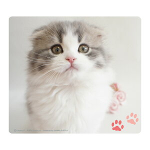 yő1500~OFFN[|zzzy󂠂 Viz}EXpbh XReBbVtH[h MPD-215E TTvC ɃLYAꂠylR|XΉz