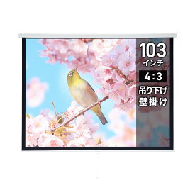 【5/25限定！抽選で100％P還元+10％OFFクーポン】【訳あり 新品】プロジェクタースクリーン 103型 吊り下げ式 ※箱にキズ、汚れあり PRS-TS103 サンワサプライ