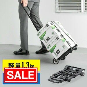 yX[p[SALEI艿izL[J[g ܂肽 y RpNg  ω׏d45kg tbNtoh AEghA  h ו^ EEX-CT14BK