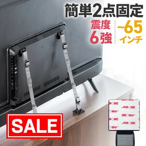 yX[p[SALEI艿izer]|h~xg ʃe[v 2_Œ VESAtΉ 65^܂őΉ kx6Ή sv { nk΍ EEX-EQ04GY