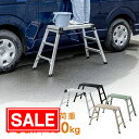 【スーパーSALE！限定価格】【一部カラーは予約受付中】足場台 脚立 洗車台 3段 高さ70cm ハイタイプ 耐荷重150kg 天…