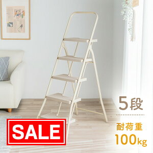 yX[p[SALEI艿izr ݑ 5i ܂肽 X |  rLbv x[W  EEX-KYA26BG