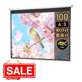 【スーパーSALE！限定価格】【楽天1位受賞】プロジェクタースクリーン 吊り下げ 100インチ 4：3 天吊 壁固定 プルダウン式 　会議室 プレゼン 学校 ホームシアター 手動 EEX-PST1-100