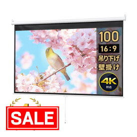 【スーパーSALE！限定価格】【楽天1位受賞】プロジェクタースクリーン 100インチ 16：9 吊り下げ 天井 壁掛け ホームシアター 巻き上げ ロール式 防炎 おすすめ EEX-PST1-100HD