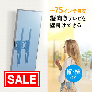 yX[p[SALEI艿izǊ|er er c ݒu ^ px `g ^ ėp VESA t fBXvC fW^TCl[W Ŕ@j^[ 32  75C` Ή EEX-TVKA024