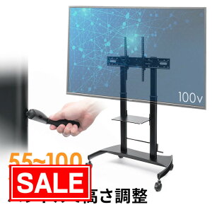 yX[p[SALEI艿izerX^h LX^[t ړ  nh~ px It ^ 55 65 85 100C` dq EEX-TVS042BK