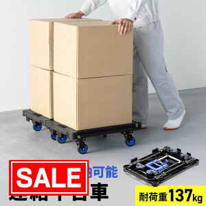 yX[p[SALEI艿izA  LX^[i[ ω׏d137kg A\ ܂肽 X^bLO  ԍ y ^ RpNg ubN EZ1-TRL001BK