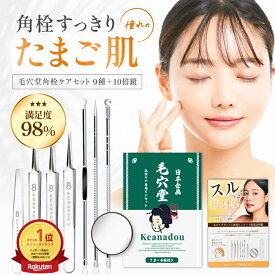 【予約注文受付中】角栓 角栓取り ピンセット 角栓ケア 除去 スティック 専用ピンセット 毛抜き コメドプッシャー【美肌スペシャリスト監修】 毛穴堂 毛穴 鼻 角質取り 緊急 応急