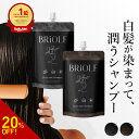 【イーサーフの日 25%OFF】【1本7役 / 白髪に5分】 白髪染め シャンプー 1位 BRiOLE 白髪染めるシャンプー 女性 レデ…