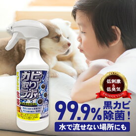 【ナノテク新素材配合×カビ強力除去】カビ取りスプレー カビ取りラボ ストロングタイプ カビ取り剤 低刺激 低臭気 カビ取り マルチクリーナー カビ カビ防止 防カビ お風呂掃除 防カビ剤 洗剤 カビ防止スプレー フォームタイプ