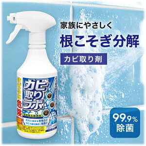 yimeNVfޔz×Jr͏zJrXv[ Jr胉{ XgO^Cv Jr h LC Jr }`N[i[ Jr Jrh~ hJr C| hJr 