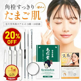 【お買い物マラソン20%OFFクーポン】角栓 角栓取り ピンセット 角栓ケア 除去 スティック 専用ピンセット 毛抜き コメドプッシャー【美肌スペシャリスト監修】 毛穴堂 毛穴 鼻 角質取り 緊急 応急