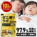 【お買い物マラソン10％OFF】【誘引して乾燥】ダニ捕リラボ 乾燥タイプ 2/5/10枚入り ダニ捕りシート ダニ取りシート …