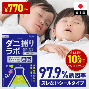 yX[p[SALE10OFFz_j߃{ 3/10 _j߂V[g zc _jV[g _jV[g _j _j߂ _jƂ _jގ h_j tďC 3 쏜 _j쏜 ɂƂV